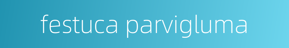 festuca parvigluma的同义词