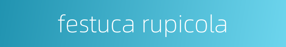 festuca rupicola的同义词