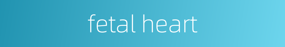 fetal heart的同义词
