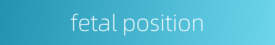 fetal position的同义词