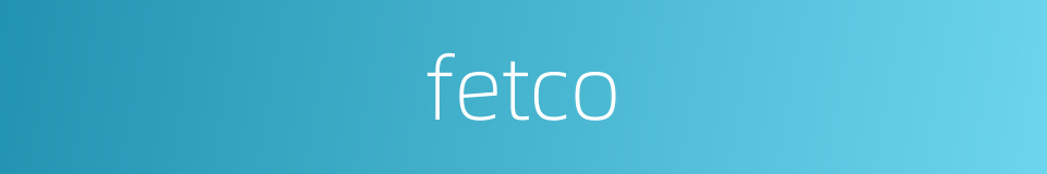 fetco的同义词