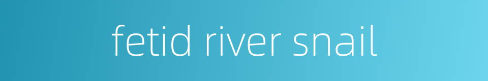 fetid river snail的同义词