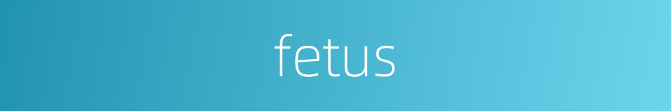 fetus的同义词