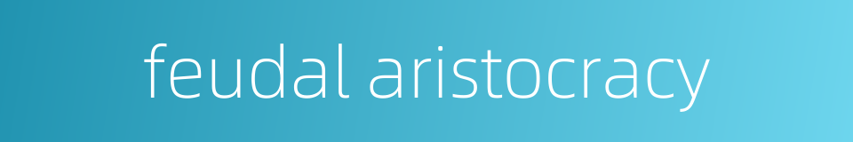 feudal aristocracy的同义词