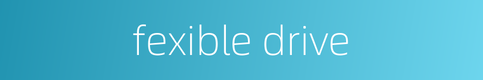 fexible drive的同义词