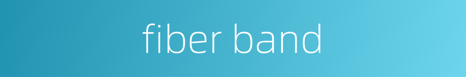 fiber band的同义词