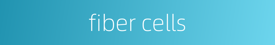 fiber cells的同义词