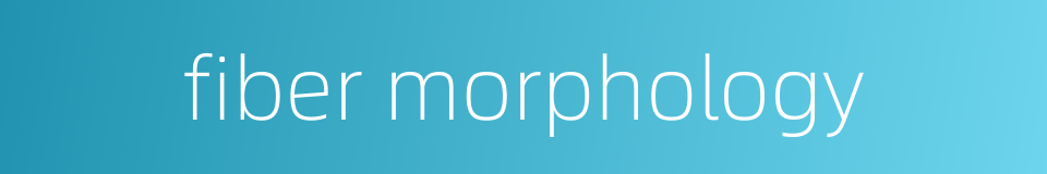 fiber morphology的同义词