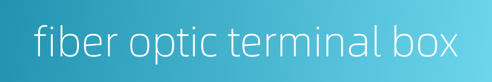 fiber optic terminal box的同义词