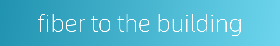 fiber to the building的同义词