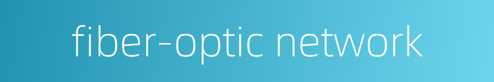 fiber-optic network的同义词