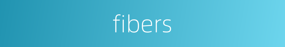 fibers的同义词