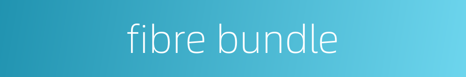 fibre bundle的同义词
