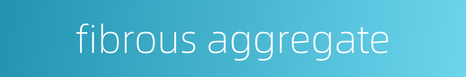 fibrous aggregate的同义词