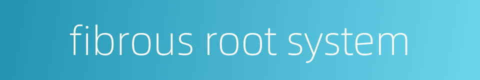 fibrous root system的同义词