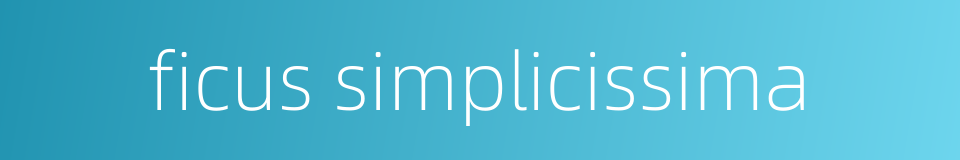 ficus simplicissima的同义词