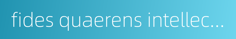 fides quaerens intellectum的同义词