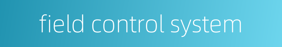 field control system的同义词