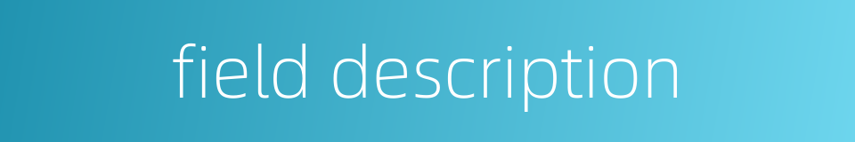 field description的同义词