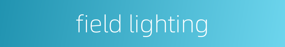 field lighting的同义词