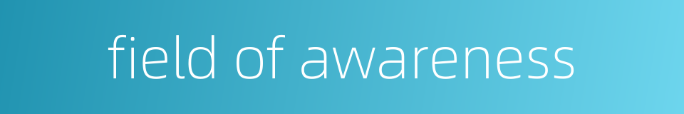 field of awareness的同义词