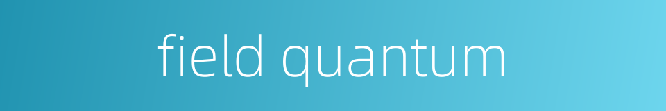 field quantum的同义词