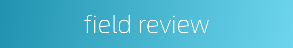 field review的同义词