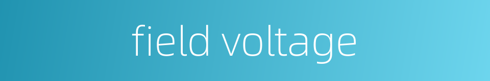 field voltage的同义词