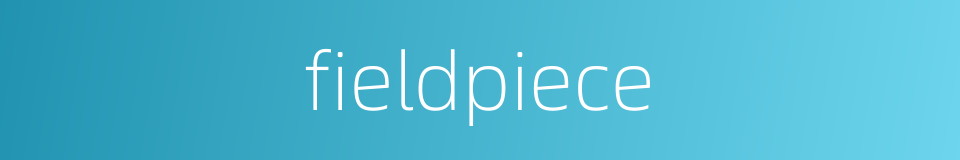 fieldpiece的同义词