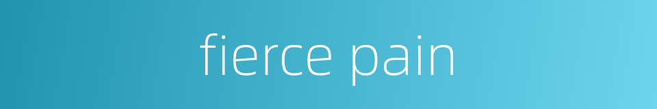 fierce pain的同义词