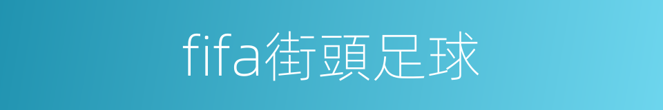 fifa街頭足球的同義詞
