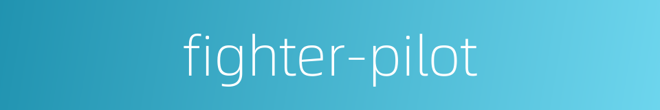 fighter-pilot的同义词