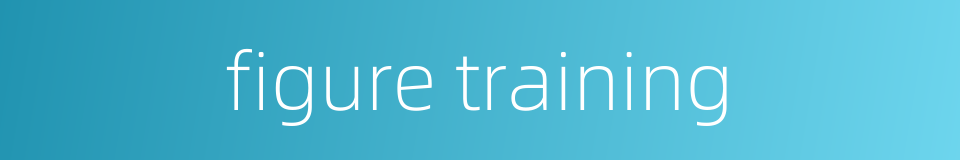 figure training的同义词