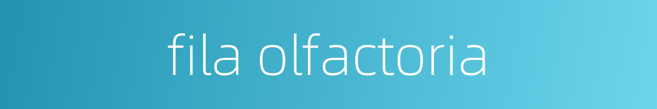 fila olfactoria的同义词