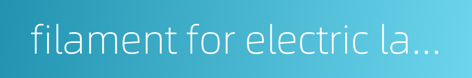 filament for electric lamp的同义词