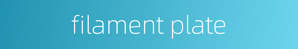 filament plate的同义词