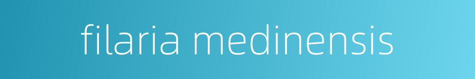 filaria medinensis的同义词
