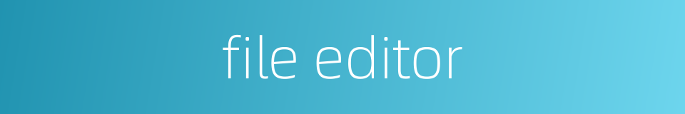 file editor的同义词