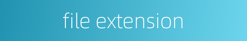 file extension的同义词