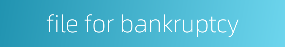 file for bankruptcy的同义词
