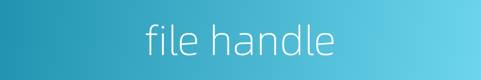 file handle的同义词