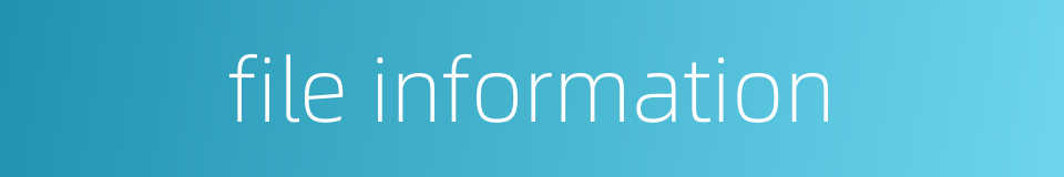 file information的同义词