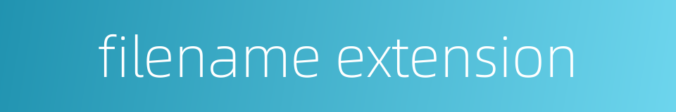 filename extension的同义词