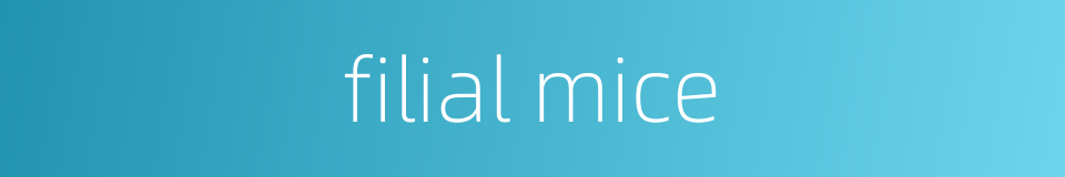 filial mice的同义词