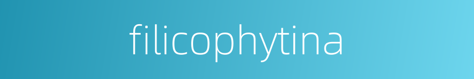 filicophytina的同义词
