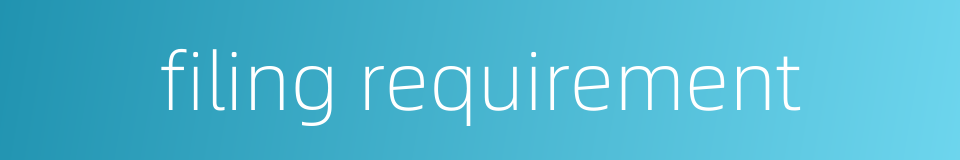 filing requirement的同义词