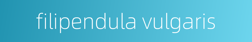 filipendula vulgaris的同义词