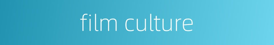 film culture的同义词