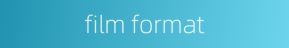 film format的同义词