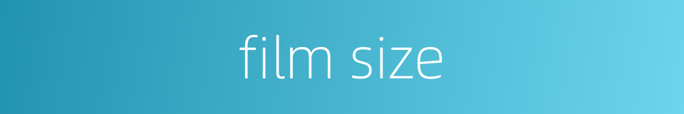 film size的同义词